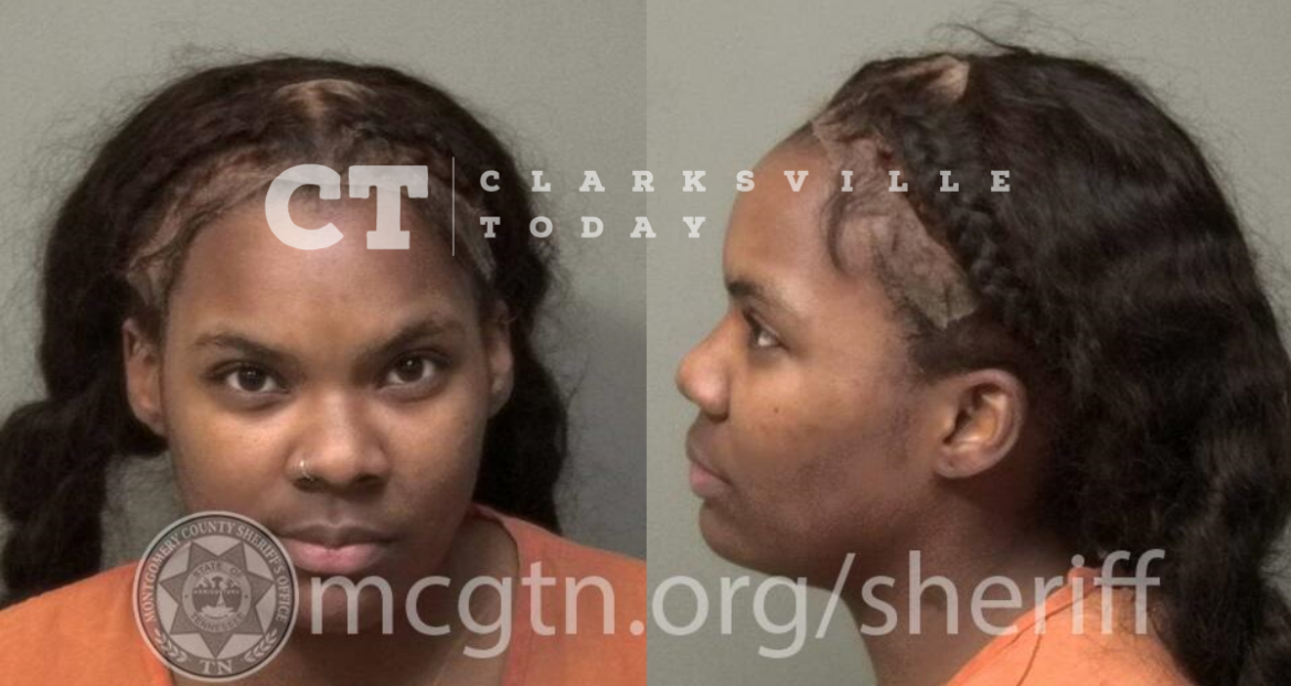 Woman charged with knocking on door and punching woman who answered — Dimeneshia Carter