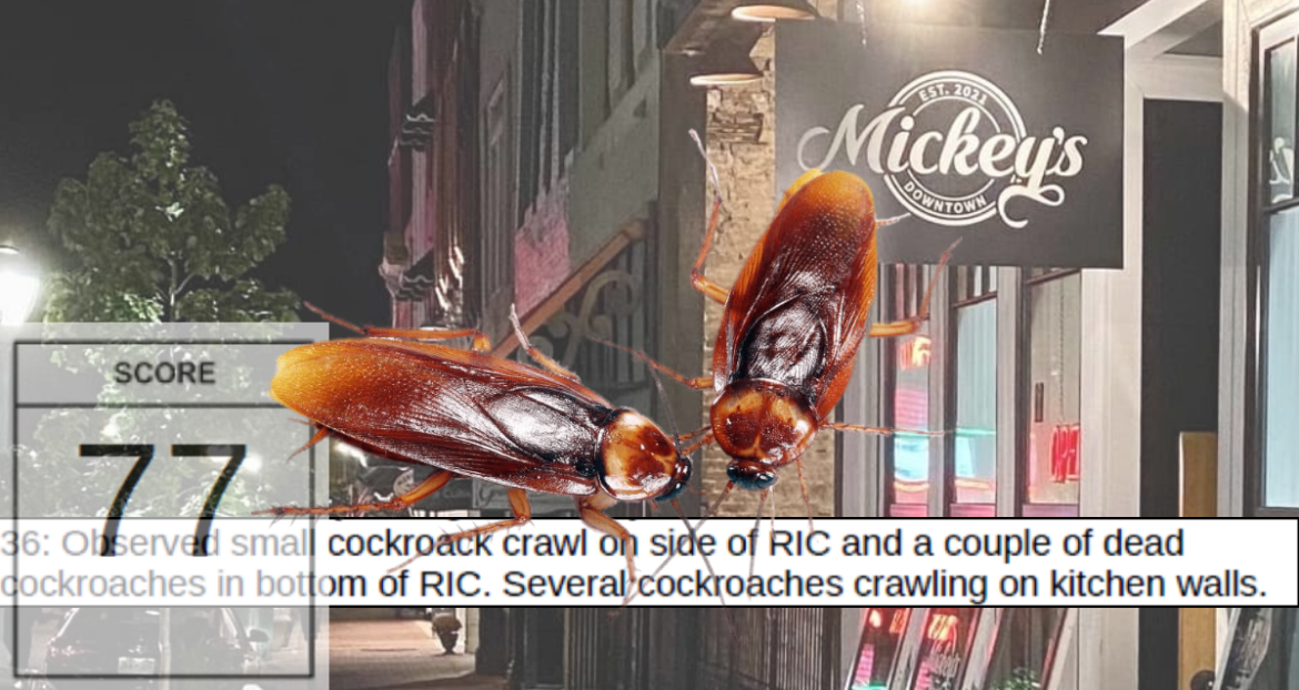 Mickey’s Downtown scores 77: cockroaches crawling on kitchen walls & in coolers