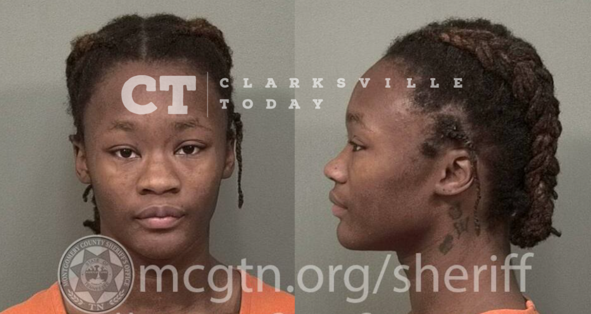 Nashayla Young charged in assault of woman her mother was fighting