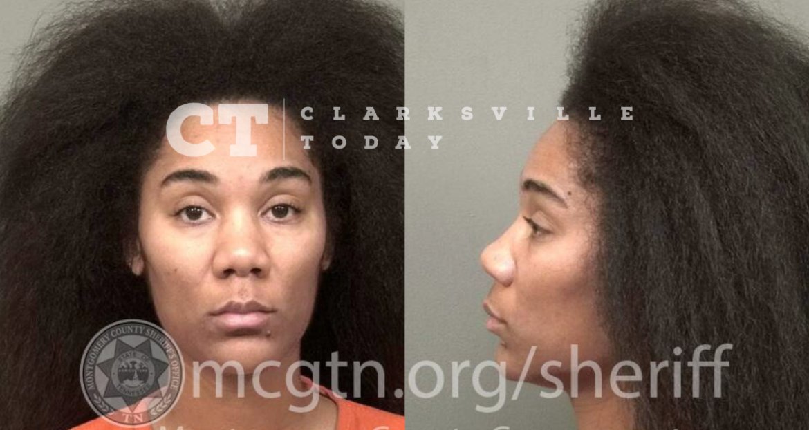 Janay Spann punches child in face on school grounds